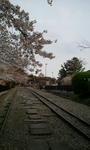京都2.bmp