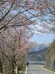 IMG_2796.jpg