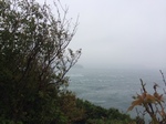 awaji5.jpg