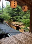 kyoto5.jpg