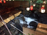 kyoto9.jpg